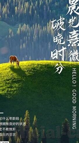 2012乒乓球中国vs世界杯-中国乒乓球队在2012世界杯中的辉煌表现