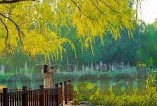 大家应足球比分-足球比分背后，一场全民参与的数字狂欢与情感博弈