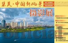 世界杯卡恩替补-世界杯卡恩替补，足球赛场上的意外与坚持
