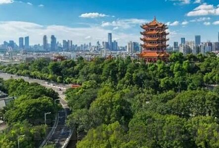 王者修仙手游下载九游版-王者修仙手游下九游版载体验
