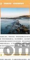 章鱼足球比分网-揭秘章鱼足球比分网，你的足球数据宝藏库